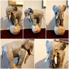 Éléphant sur sa boule de news